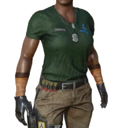 Torso
