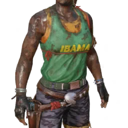 Torso