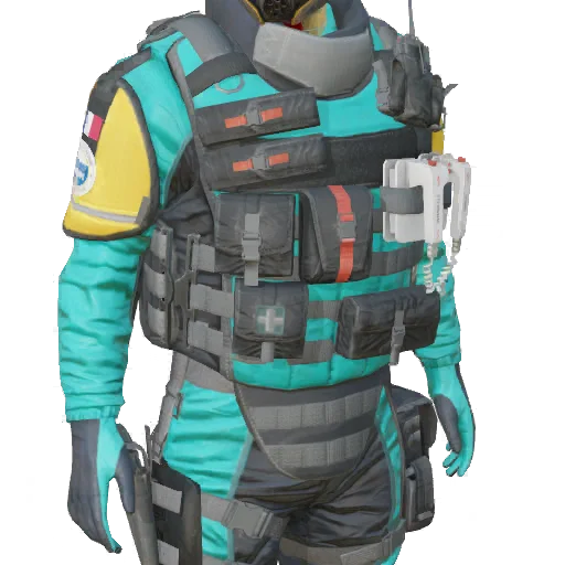 Torso