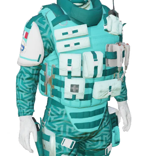 Torso
