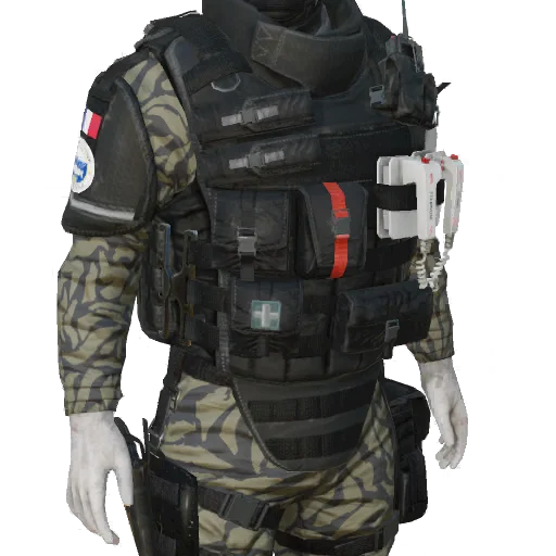 Torso