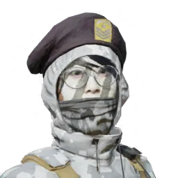 Dokkaebi White Tiger