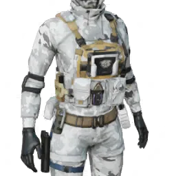 Torso