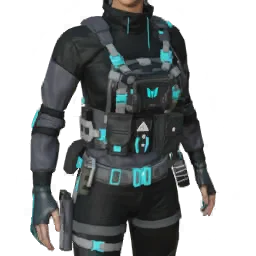 Torso