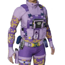 Torso