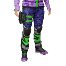 Legs