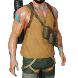 Torso