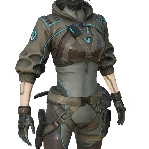 Torso