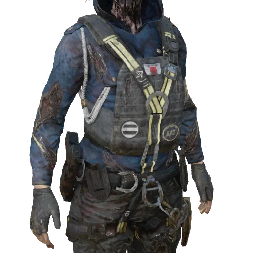Torso