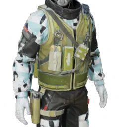 Torso