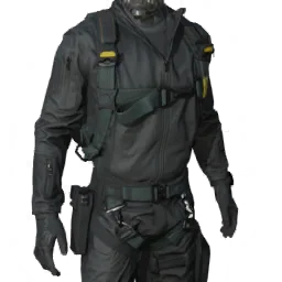 Torso