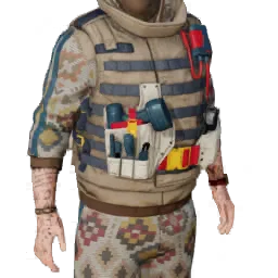 Torso