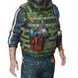 Torso