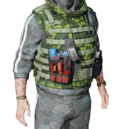 Torso
