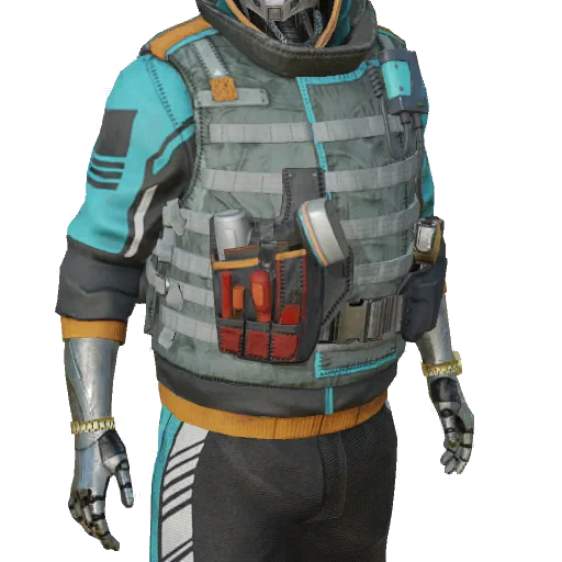 Torso