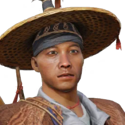 Lesion Comorant Fisherman