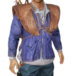 Torso