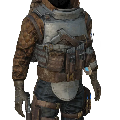 Torso