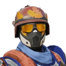 Maestro Hawk