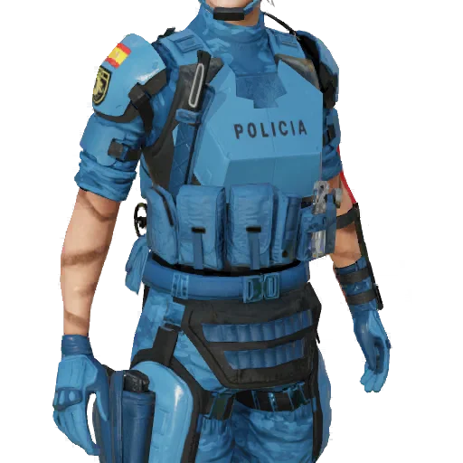 Torso