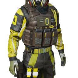 Torso