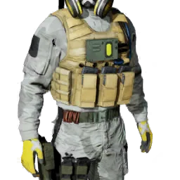 Torso