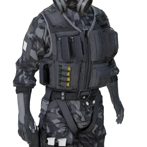Torso