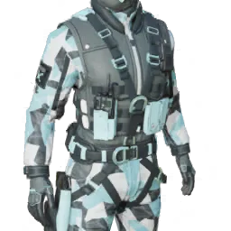 Torso