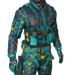 Torso
