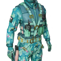 Torso