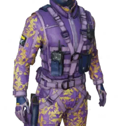 Torso