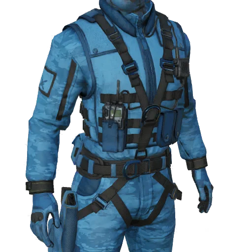 Torso