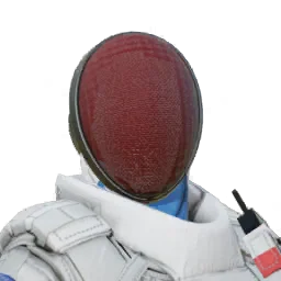 Rook Fencer