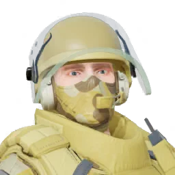 Rook Sunshine Hazard