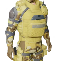 Torso
