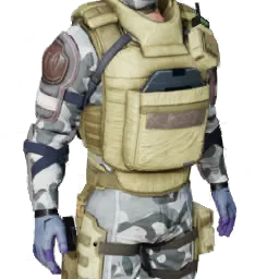 Torso
