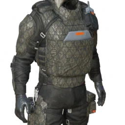 Torso