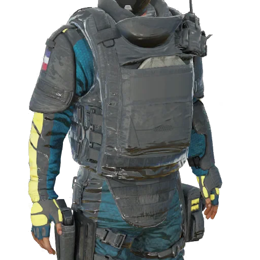 Torso