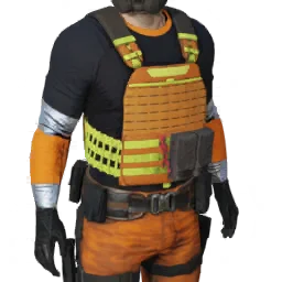 Torso