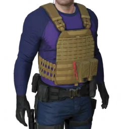 Torso
