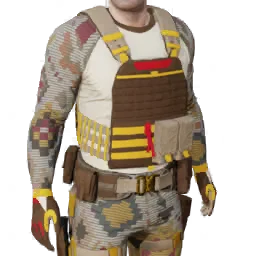 Torso