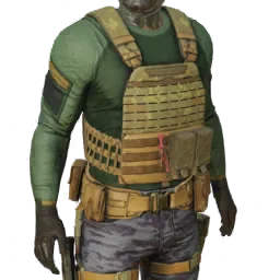 Torso