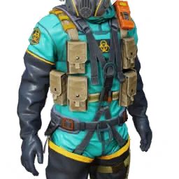 Torso