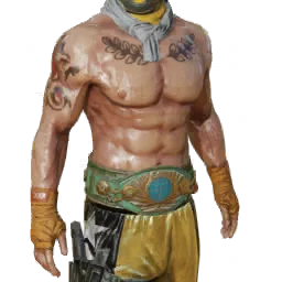Torso