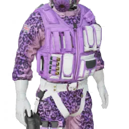 Torso