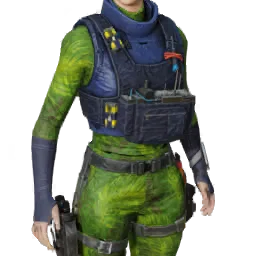 Torso