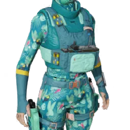 Torso