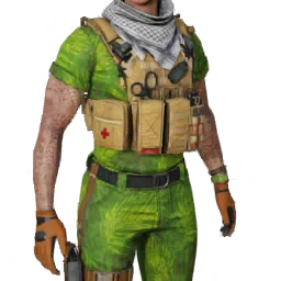 Torso