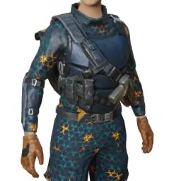 Torso