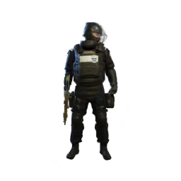 Rook Armor Delivery